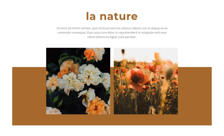 La nature donne de la beauté Modèle de site Web