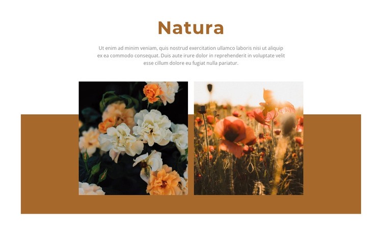 Natura daje piękno Makieta strony internetowej
