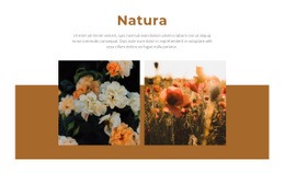 Natura Daje Piękno - Łatwa W Użyciu Strona Docelowa