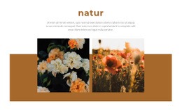 Naturen Ger Skönhet - Nedladdning Av HTML-Mall