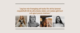 Galleri Med Toppmodeller - Ultimata WordPress-Tema