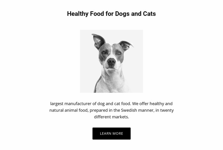 Zdravé stravování pro psa Html Website Builder