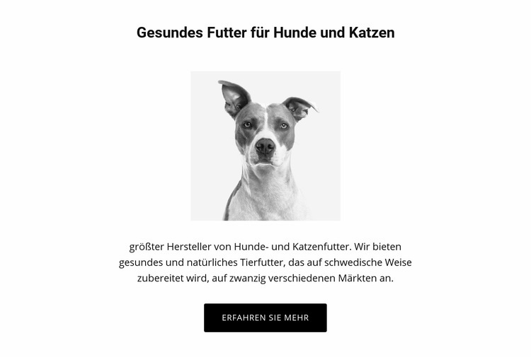 Gesunde Ernährung für Hund HTML Website Builder