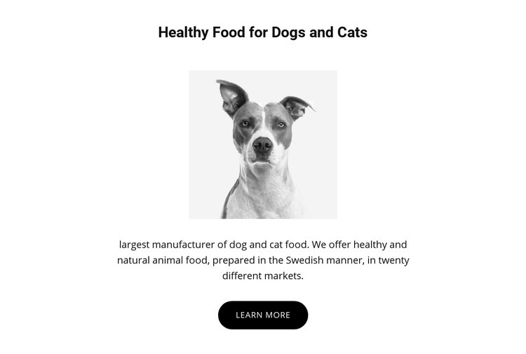 Healthy eating for dog Elementor Template Alternative