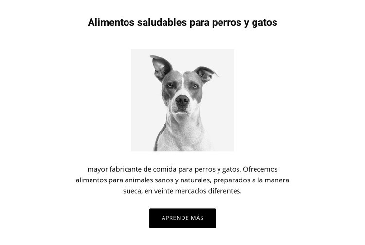 Alimentación saludable para perros Plantillas de creación de sitios web