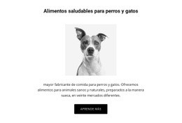 Alimentación Saludable Para Perros - Diseño De Sitio Web Sencillo