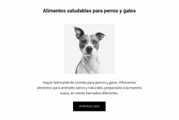 Alimentación Saludable Para Perros: Excelente Página De Destino