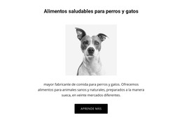 Alimentación Saludable Para Perros: Plantilla HTML5 Adaptable