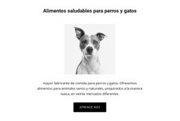 Plantilla HTML5 Alimentación Saludable Para Perros Para Cualquier Dispositivo