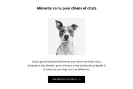 Une Alimentation Saine Pour Chien - Modèle HTML5 Réactif