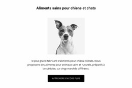 Une Alimentation Saine Pour Chien - Produits Polyvalents