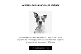 Une Alimentation Saine Pour Chien - Marché Communautaire Facile