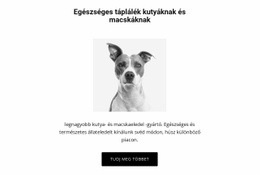 Egészséges Táplálkozás Kutyának Reszponzív Webhely