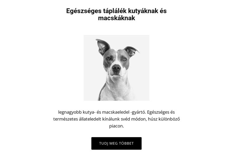 Egészséges táplálkozás kutyának Weboldal sablon