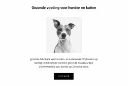 Gezond Eten Voor Hond - Geweldige Bestemmingspagina