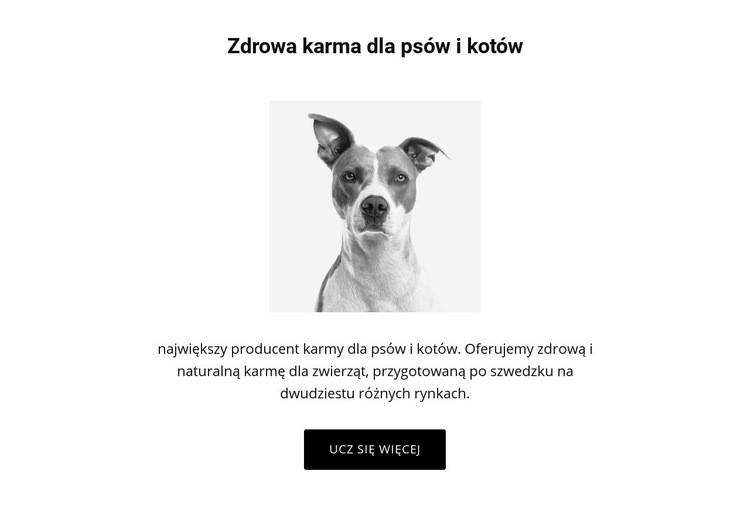 Zdrowe odżywianie dla psa Kreator witryn internetowych HTML