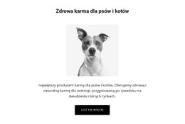 Zdrowe Odżywianie Dla Psa Responsywna Witryna