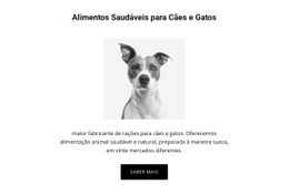 Alimentação Saudável Para Cachorro - Construtor De Sites Profissional