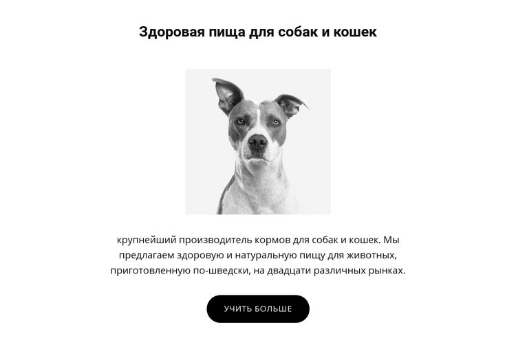 Здоровое питание для собаки Шаблон веб-сайта