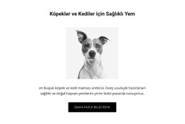 Köpek Için Sağlıklı Beslenme - Harika Bir Açılış Sayfası