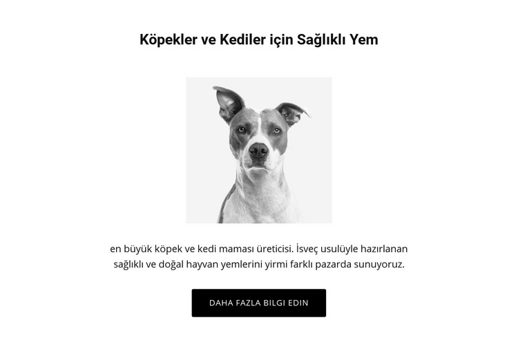 Köpek için sağlıklı beslenme Web Sitesi Mockup'ı