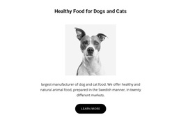 Healthy Eating For Dog - Creative Multipurpose Web Page Design