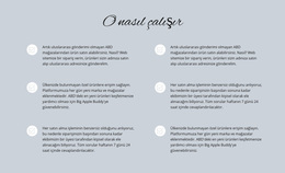 O Nasıl Çalışır - Özel WordPress Teması