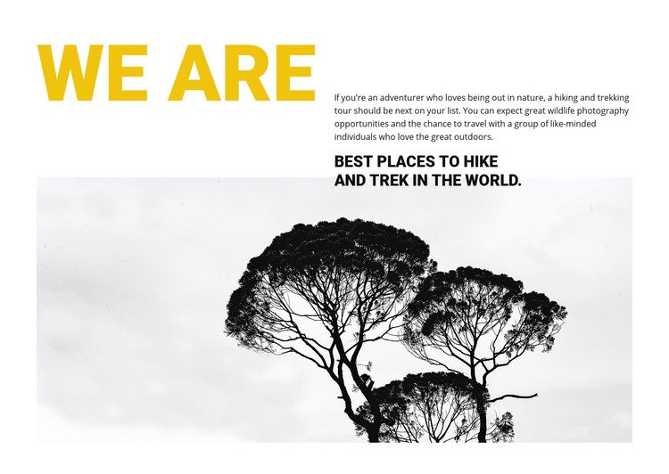 We are travel agency Homepage Design