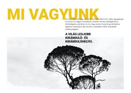 Egyéni Betűtípusok, Színek És Grafikák A Következőhöz: Utazási Iroda Vagyunk