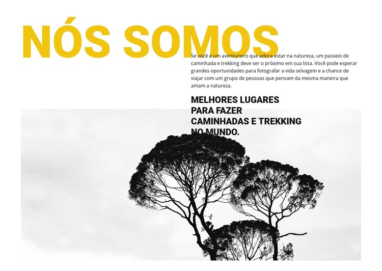 Somos agência de viagens Design do site