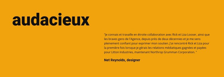 Style audacieux dans la conception Modèles de constructeur de sites Web