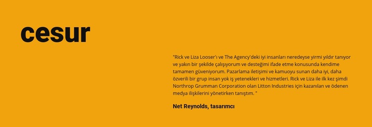 Tasarımda cesur stil Web Sitesi Mockup'ı