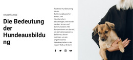 CSS-Vorlage Für Hundetraining