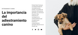 Descarga Gratuita De Entrenamiento Canino Plantilla Html
