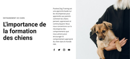 Thème WordPress Gratuit Pour Entrainement De Chien