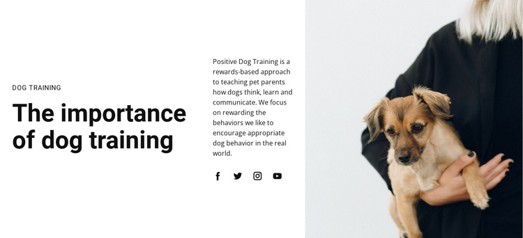 Dog training One Page Template