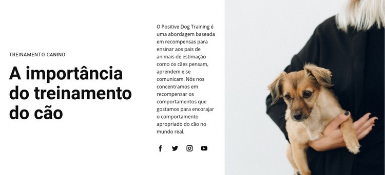 Treinamento canino Design do site