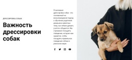 Дрессировка Собак Шаблон HTML5