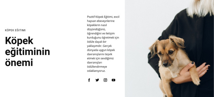 Köpek Eğitimi HTML Şablonu