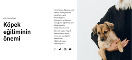 Köpek Eğitimi Için Css Şablonu