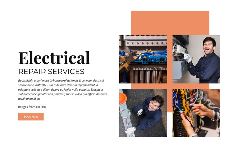 Electrical Repair Services Wysiwyg Editor Html 