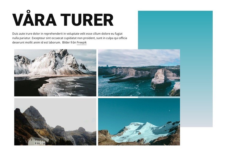 Travel Tours Webbplats mall