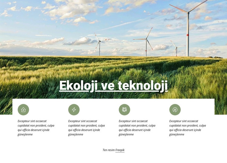 Ekoloji ve Teknoloji Web sitesi tasarımı