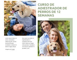 Curso De Adiestrador De Perros: Maqueta De Sitio Web Fácil De Usar