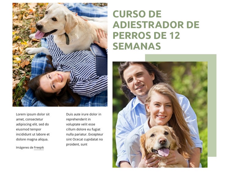 Curso de adiestrador de perros Maqueta de sitio web
