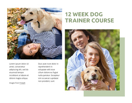 Dog Trainer Course Google Speed