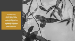 La Naturaleza Crea Increíbles - Tema De WordPress