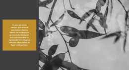 La Natura Crea Incredibili - Tema WordPress