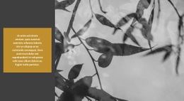 A Natureza Cria Incrível #Website-Design-Pt-Seo-One-Item-Suffix