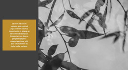 Природа Творит Невероятное – Шаблон HTML-Страницы